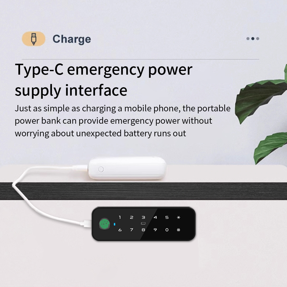 Tuya Bluetooth Smart Houten Ka - Furniture Hardware Manufacturer recensie en prijs